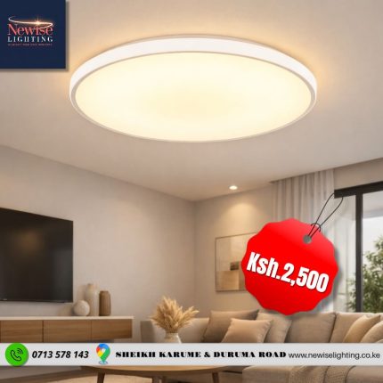 Slim Panel White Ring Tri-color  led Ceiling Light