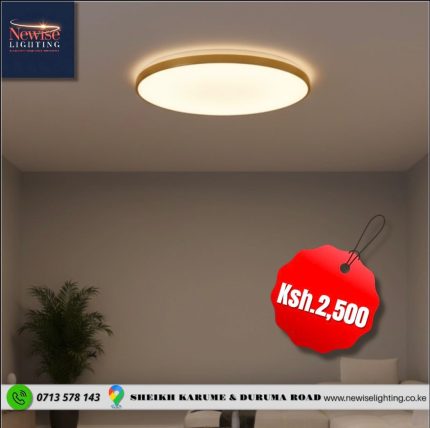 Slim  Panel Gold ring Tri-color Ceiling light