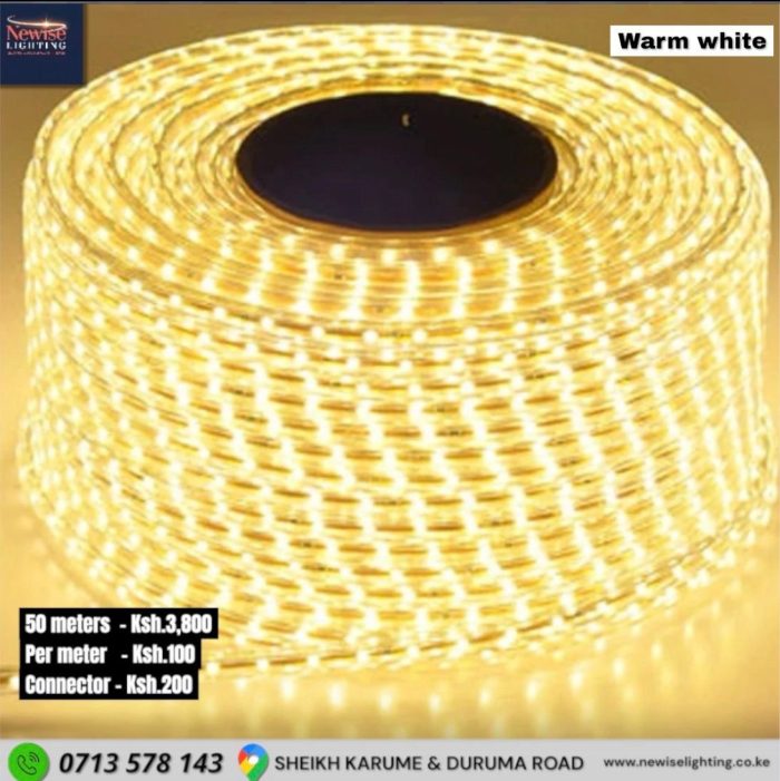 Snakelights 50mtrs Double line Snakelight- Warm White – Newise Lighting