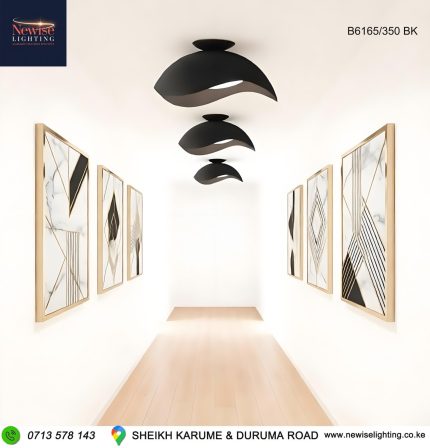 Wave Eggshell Ceiling mount  Pendant - Black